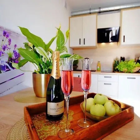 Spacious With A Terrace, Mielenko