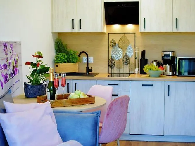 Spacious With A Terrace, * Mielenko