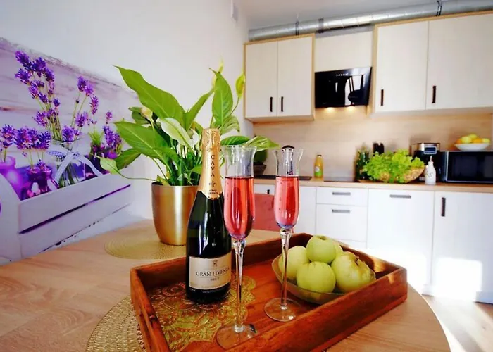 Spacious With A Terrace, Mielenko